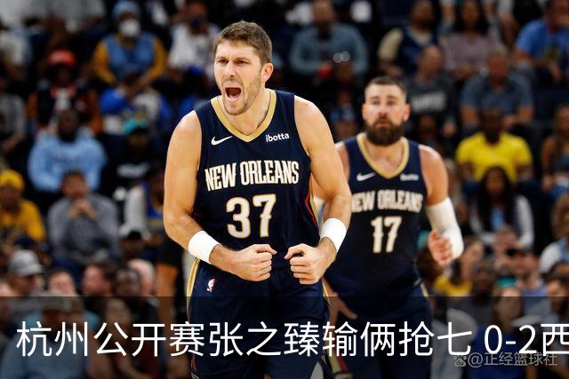 杭州公开赛张之臻输俩抢七 0-2西里奇收获亚军